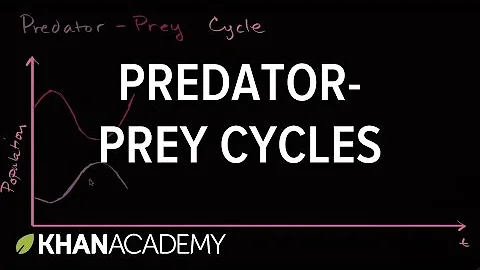 Predator prey cycle | Ecology | Khan Academy