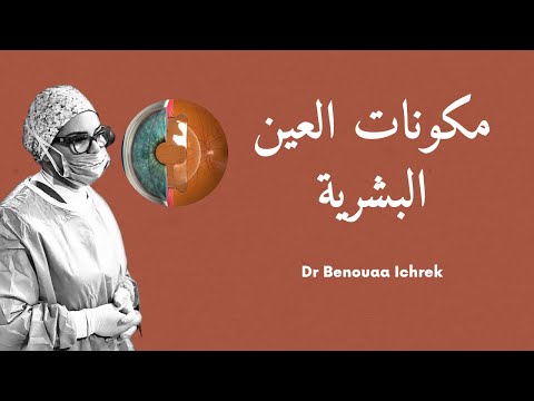 تعرف على مكونات العين في ثلاثة دقائق    3 