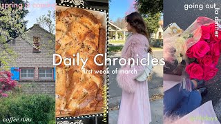 Daily Chronicles cozy mornings, going out, baking, ballet class