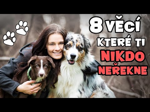 8 ZKUŠENOSTÍ, které