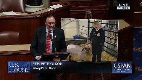 Rep. Pete Olson Gives Cinco Ranch FFA President Je...