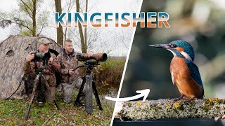 Photographing & Filming Kingfishers | Gear Explained | Wildlife Photography