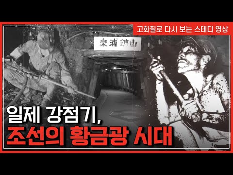 일제 강점기, 조선을 황금광시대로 몰아넣은 비밀  |  한국사 탐 [반복재생]/YTN 사이언스