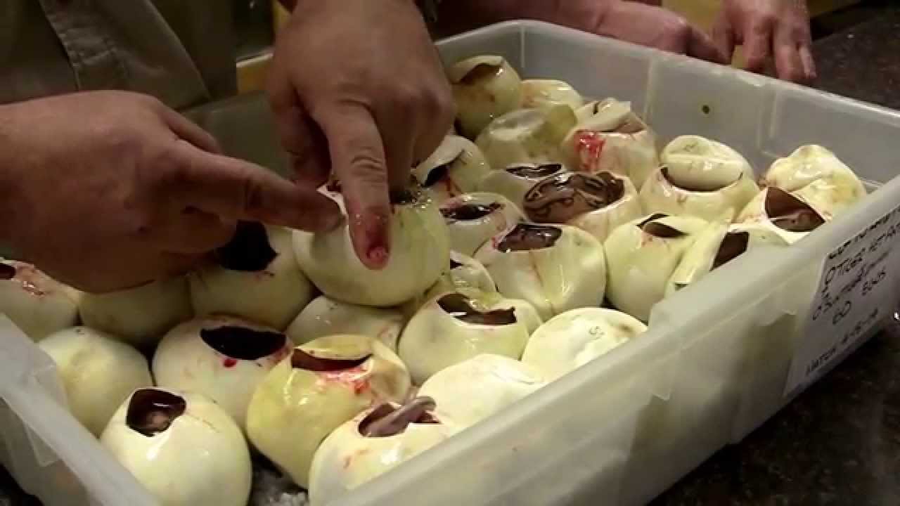 petco hours Why is that snake so expensive?