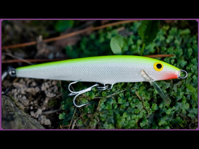 Underwater world of the Original Floating / Rapala 