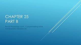 Chapter 25 Part B (Renal Physiology cont, Concentrating Urine, Homeostatic Imbalances)