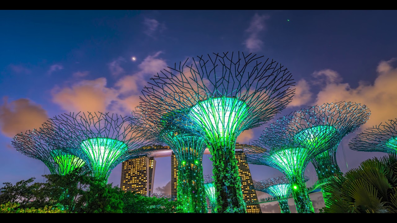 Singapore Gardens By The Bay Supertree Lights
