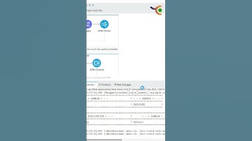 Code Mastery Unleashed:Debug Memory Monitoring!#tci #MuleSoft #anypointstudio #debugging #monitoring
