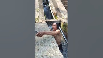 vlog tắm suối bắt cá #shortvideo #funny #haihuocvuinhon