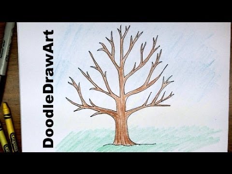 how to draw a tree without leaves