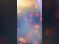 Phorester - Transparent Light #cloudrap #aigenerated