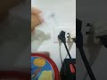 there's a  spider!