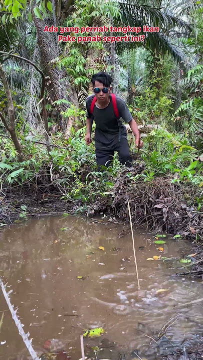SEEING A FISH NEST IN THE MIDDLE OF A PALM OIL PLANTATION, I IMMEDIATELY RUSHED TO MAKE AN ARROW😅...