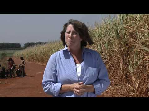 ブラジルはエタノールによるエネルギー自給の先駆者