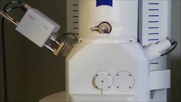 Fisher Barton Technology Center_Zeiss MA10 Scanning Electron Microscope (SEM)