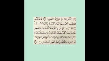 لا يكلف الله نفساً إلا وسعها - القارئ أحمد العجمي .