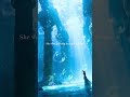 Echoes of a Sunken Fantasy City