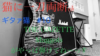 ギタァ猫#10 【THE GAZETTE】【Maggots】がやっぱ弾けてねーっす