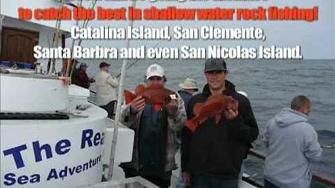 Scott McDaniels & the Sea Adventure 80 Rockfishing...