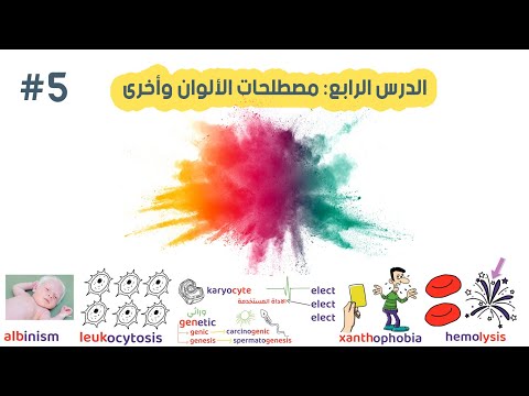 فيديو: ماذا يعني مصطلح karyocyte؟