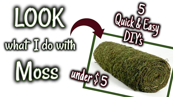 LOOK what I do with MOSS | 5 QUICK & EASY DIY's UN...