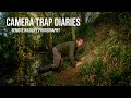 CAMERA TRAP diaries, local WILDLIFE PHOTOGRAPHY with a DSLR camera trap.