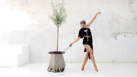 AURIGA OLIVAR - ARTE BI-HEMISFERICO