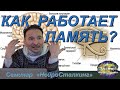 "Как Работает Память?" НейроСталкинг  (онлайн-сессия)