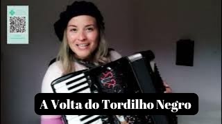 A Volta do Tordilho Negro - Teixeirinha (interpretação)