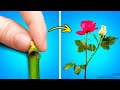 Simple Plant Growing Tips And Tricks And Awesome Gardening Hacks