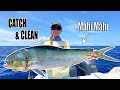 CATCH & CLEAN MAHI MAHI - How to catch mahi (dolphin) | Gale Force Twins