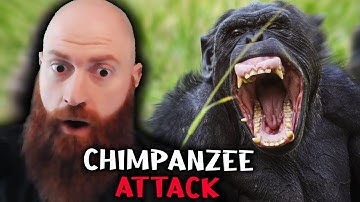 Xeno Reacts to Disturbing Things From Around The Internet [Vol. 8]