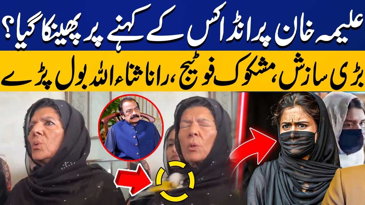 Who Ordered Egg Attack on Aleema Khan? Rana Sanaullah Big Statement ...