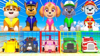 PAW Patrol : Guess The Right Door With Tire Game Mighty Pups Ultimate Rescue Max Level LONG LEGS