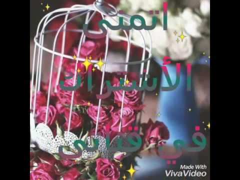 شارة الحماة الأبطال