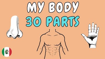30 parts of the body in Italian - Italian Vocabulary with Pictures