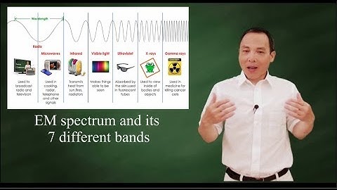 EM spectrum: radio wave, infrared, visible light, ultraviolet, X and Gamma ray