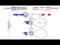 V(D)J Recombination and Immune Diversity