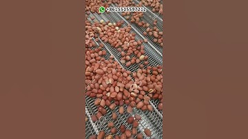 Automatic Peanut Roasting Line/Peanut Roasting Machine/Groundnut Roaster Machine