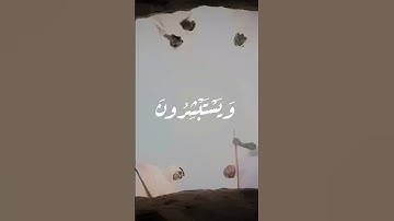 تلاوة جميله من سوره ال عمران للشيخ مشاري العفاسي