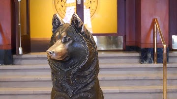 My School - Northeastern University