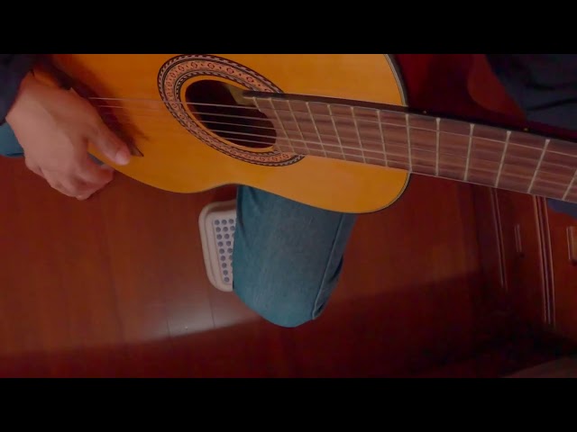 佛拉門哥吉他    入門 - 