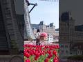Spring whispers through every tulip 🌷🍃 #lifeinjapan #nagasaki