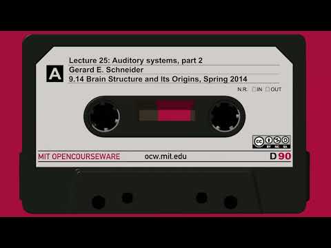 25. Auditory systems, part 2 thumbnail