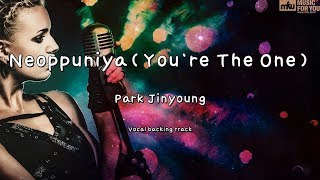 Neoppuniya(You`re The One)-Park Jinyoung-(Instrumental & Lyrics)