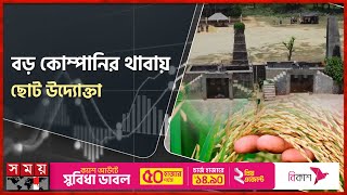 ধানের জেলা নওগাঁয় কেন বন্ধ অটো রাইস মিল? | Paddy | Rice Mill | Naogaon News | Somoy TV