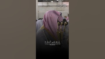 ﴿إِلى رَبِّكَ يَومَئِذٍ المَساقُ﴾ | تلاوة بهيّة تفوق الوصف لفضيلة الشيخ د.#ماهر_المعيقلي