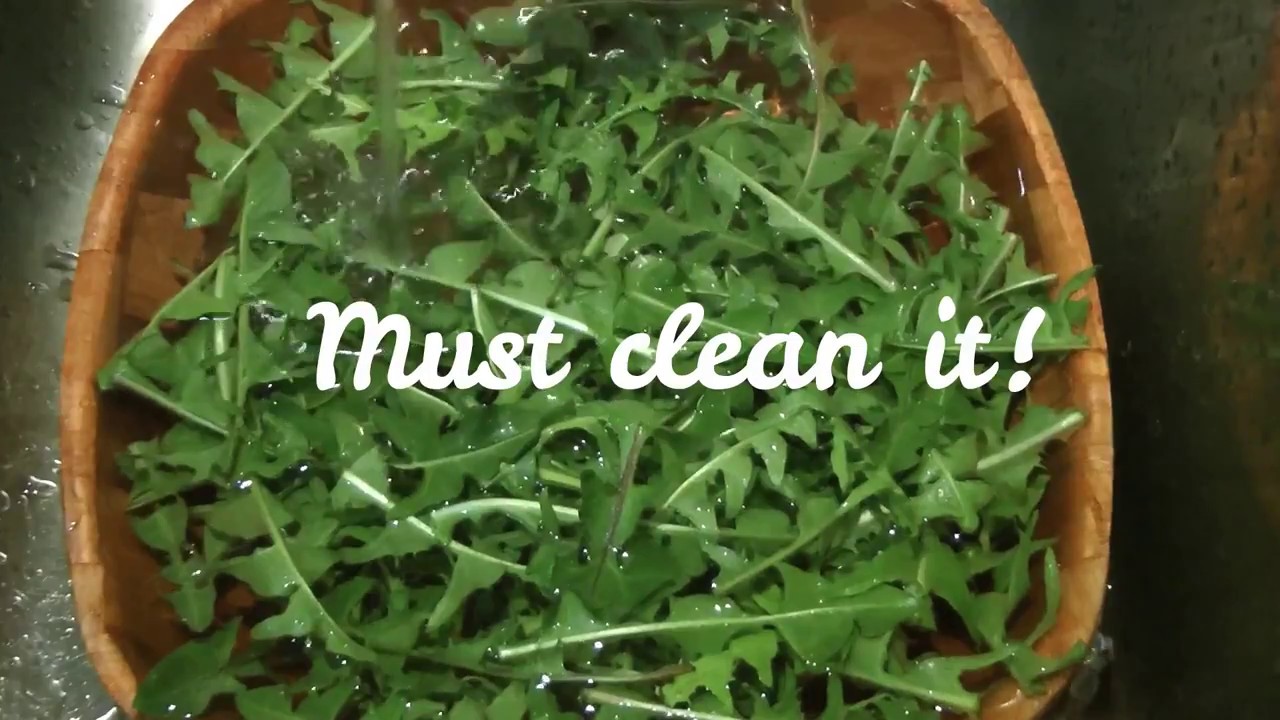 How to make Dandelion Salad - YouTube