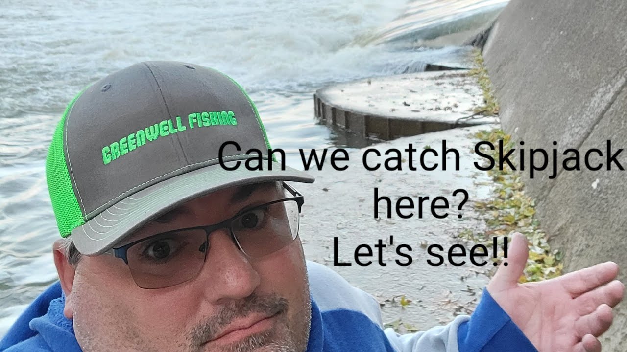 How to catch Skipjack! How I am catching skipjack in the fall! Catching Skipjack from a small