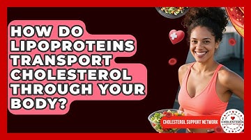 How Do Lipoproteins Transport Cholesterol Through Your Body? - Cholesterol Support Network